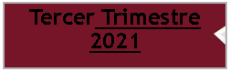 Cuadro de texto: Tercer Trimestre 2021