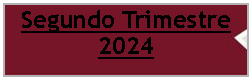 Cuadro de texto: Segundo Trimestre 2024