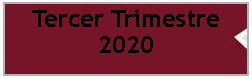 Cuadro de texto: Tercer Trimestre 2020