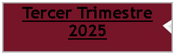 Cuadro de texto: Tercer Trimestre 2025