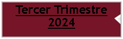 Cuadro de texto: Tercer Trimestre 2024