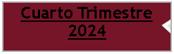 Cuadro de texto: Cuarto Trimestre 2024