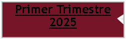 Cuadro de texto: Primer Trimestre 2025