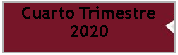 Cuadro de texto: Cuarto Trimestre 2020