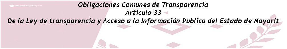 Cuadro de texto: Obligaciones Comunes de TransparenciaArticulo 33De la Ley de transparencia y Acceso a la Información Publica del Estado de Nayarit