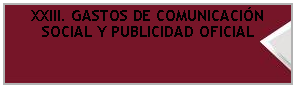 Cuadro de texto: XXIII. GASTOS DE COMUNICACIÓN SOCIAL Y PUBLICIDAD OFICIAL
