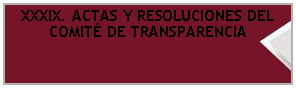 Cuadro de texto: XXXIX. ACTAS Y RESOLUCIONES DEL COMITÉ DE TRANSPARENCIA