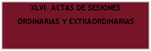 Cuadro de texto: XLVI. ACTAS DE SESIONESORDINARIAS Y EXTRAORDINARIAS