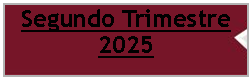 Cuadro de texto: Segundo Trimestre 2025